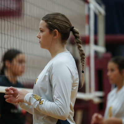 Maddison Brothers, volleyball player