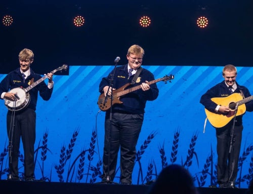 Bluegrass Brings Top Talent Honors