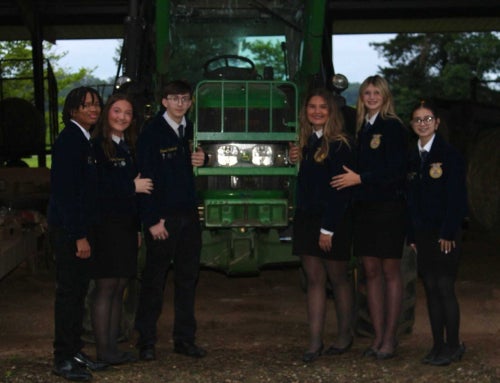 The Power of Collaboration