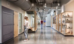 Nature’s miracle: Blue horseshoe crab blood is critical for science and conservation.