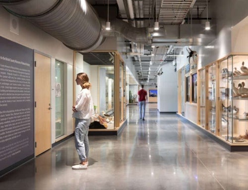 Blood of Blue: The Hidden Value of Horseshoe Crabs