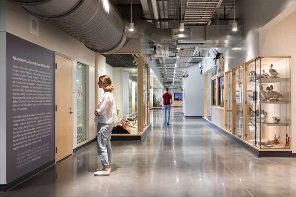 Hands-on learning comes to life inside the Bristol County Natural History Museum at Bristol Aggie!