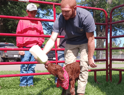 From Farm Fallacies to Food Familiarity