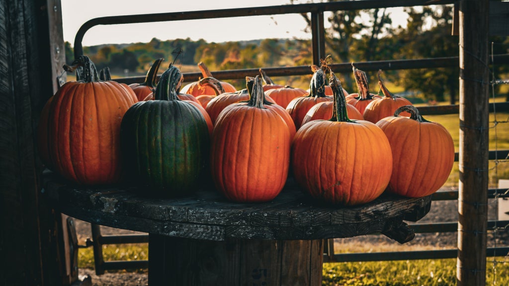 The Patch, which is located in Jefferson, Ky.