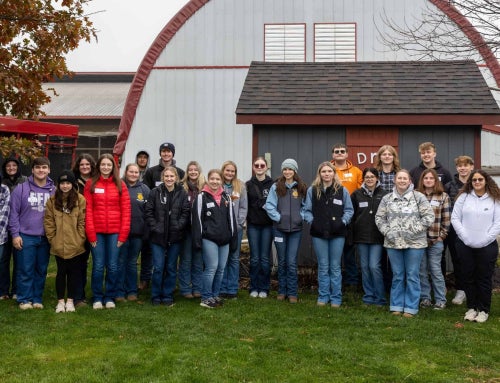 Discovering Veterinary Science Through Experience