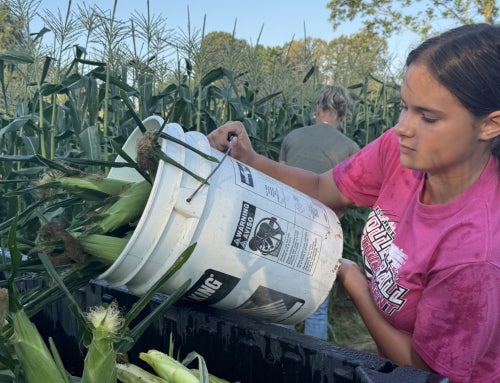 Rural Report Episode 2: Cultivating Success in an SAE