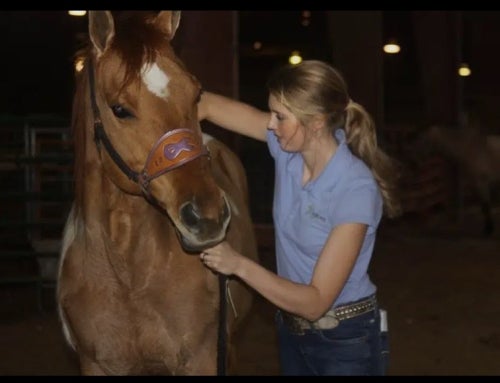 When Passion Meets Purpose