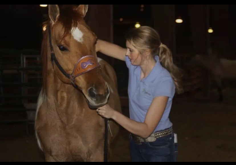 Lindsey Rovenstine works on adjusting a horse.