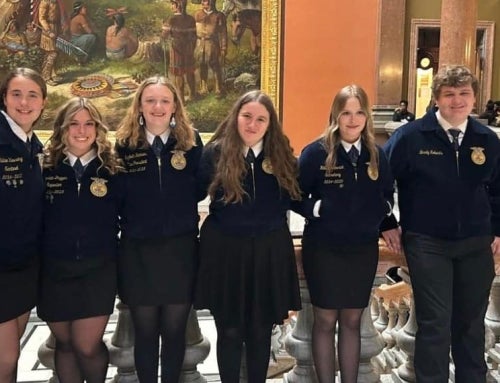 Leadership Spotlight: Elizabeth Hammann