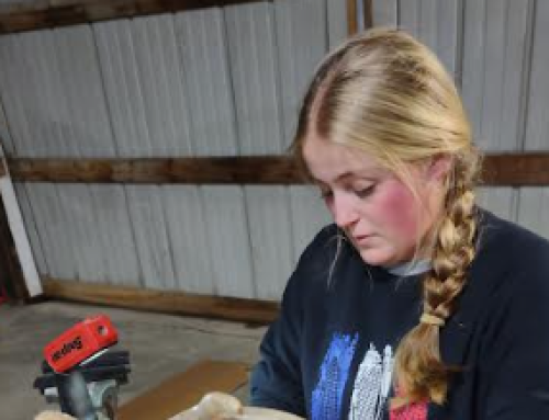 Wilton Senior Turns Passion for the Outdoors Into Award-Winning Taxidermy SAE