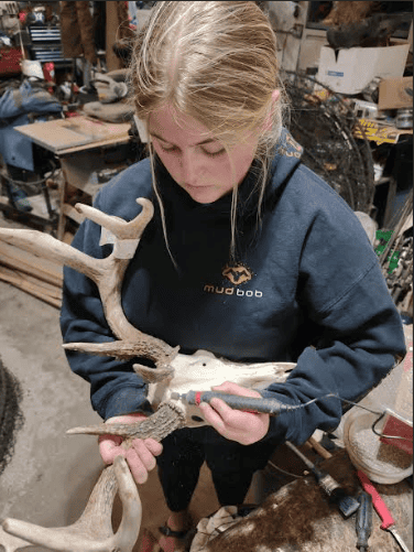 Henning working on taxidermy details with the antlers