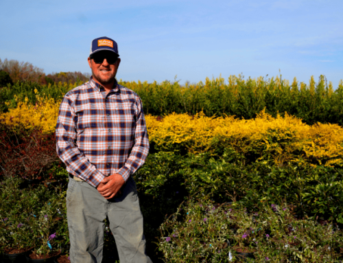 Rooted in Resilience: A First-Generation Farmer Is Defeating All Odds