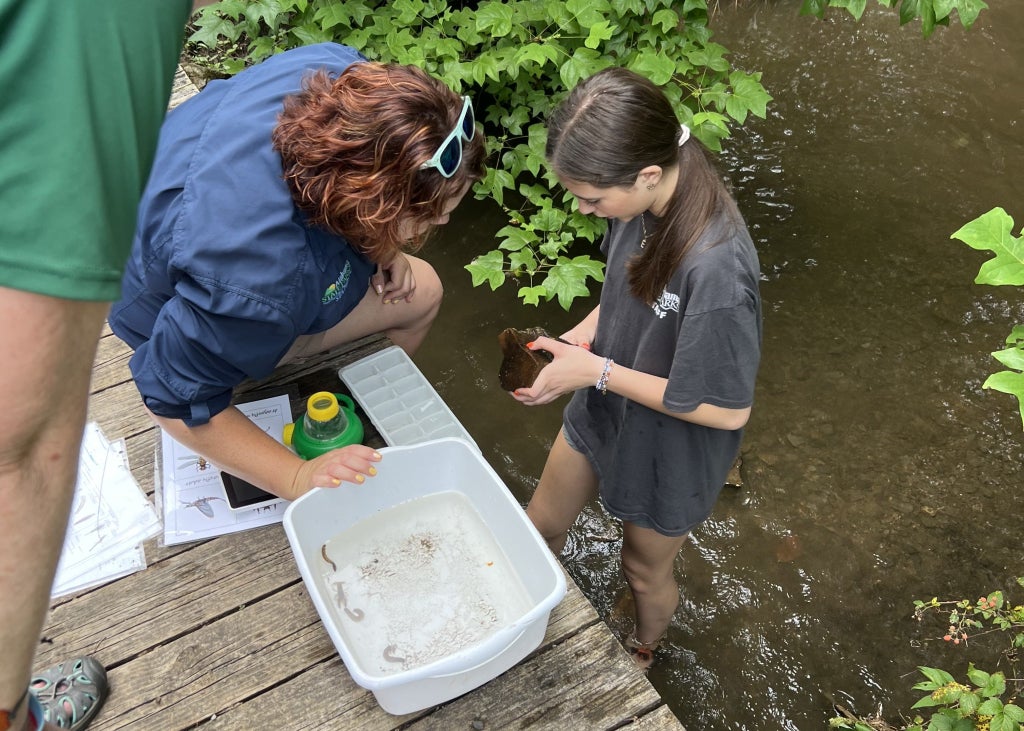 Fort Payne FFA Chapter President Ellie Grace Cyrus (right), and Desoto State Park Naturalist Brittney Hughes (left) find and identify benthic organisms.