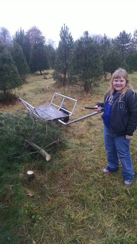 Author Delainey Haddix at Kovalic’s Christmas Tree Farm.
