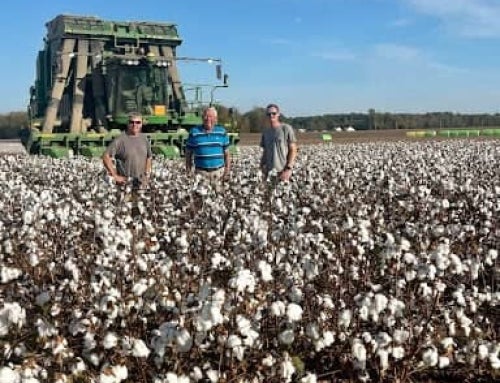 A Fifth-Generation Future: How Legacy and Precision Guide Jamie Dean Atkins