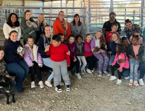 All Creatures Great and Small