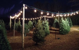 A picture of D&C Holiday Farm at dark