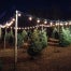 A picture of D&C Holiday Farm at dark
