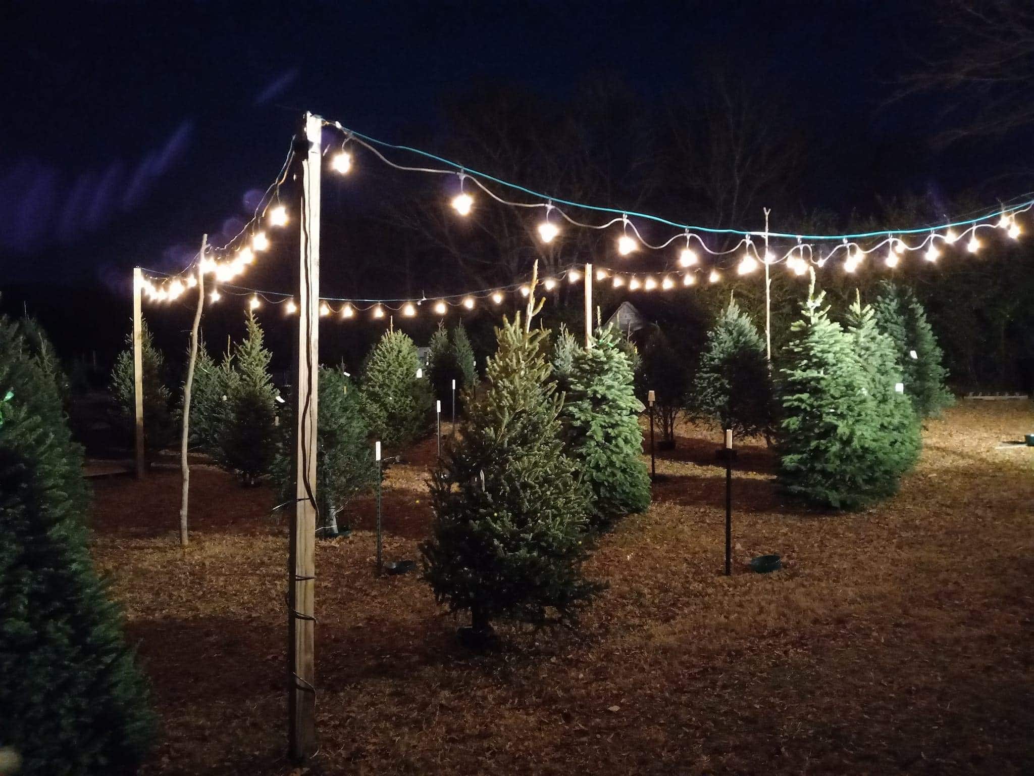 A picture of D&C Holiday Farm at dark