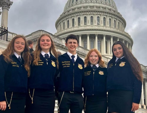 FFA Grants Offer Capital Gains