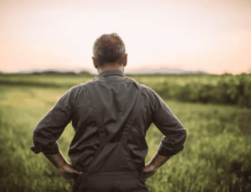 Behind the Quiet Fields