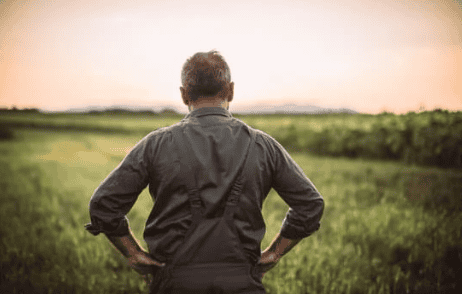 Quiet fields, heavy thoughts.