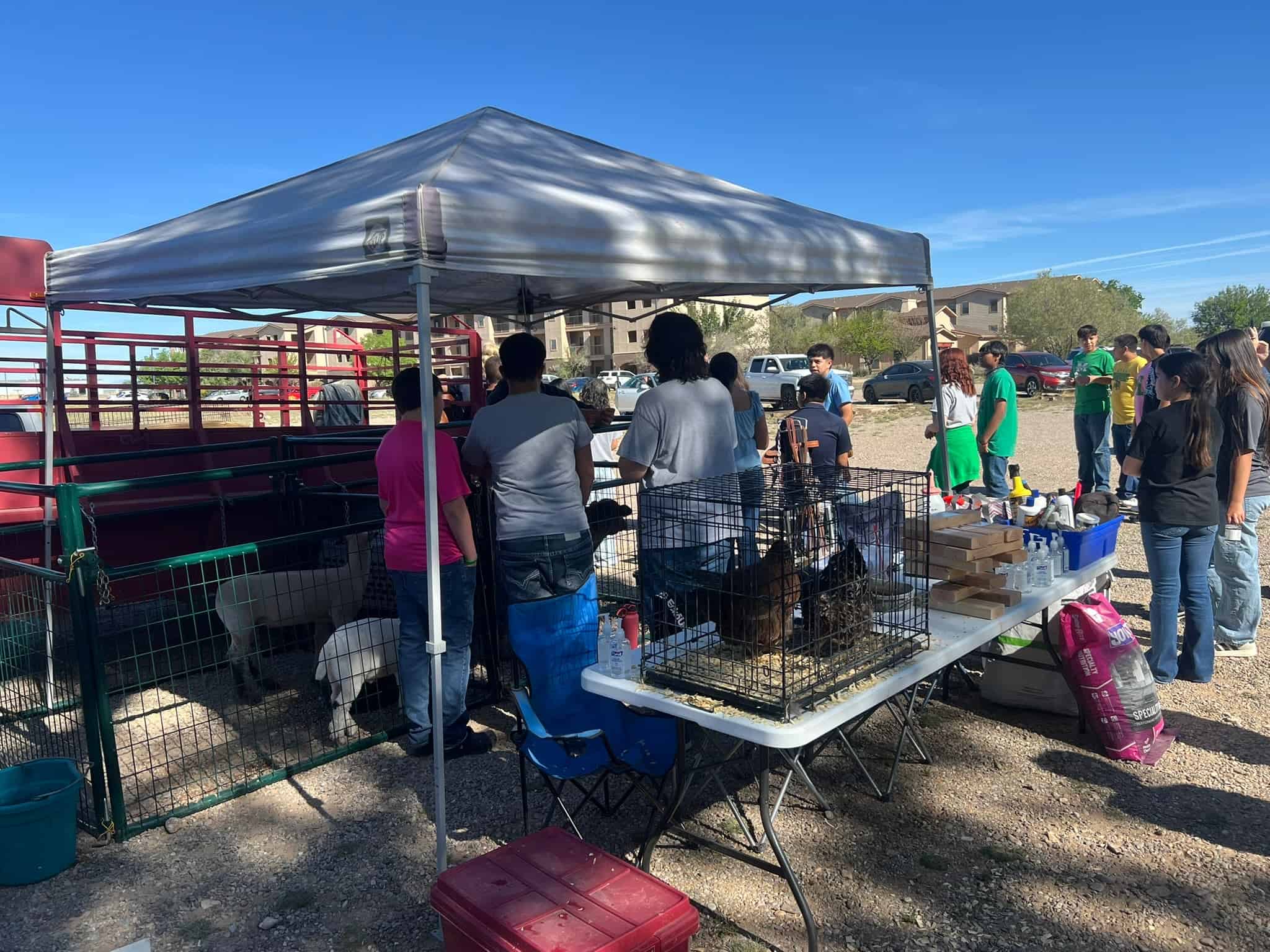 Students engaged in Roswell ECHS FFA Station at AgXplorer Event