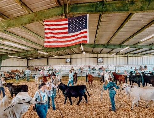 Showtime in the South: Building Skills and Leadership in the Ring