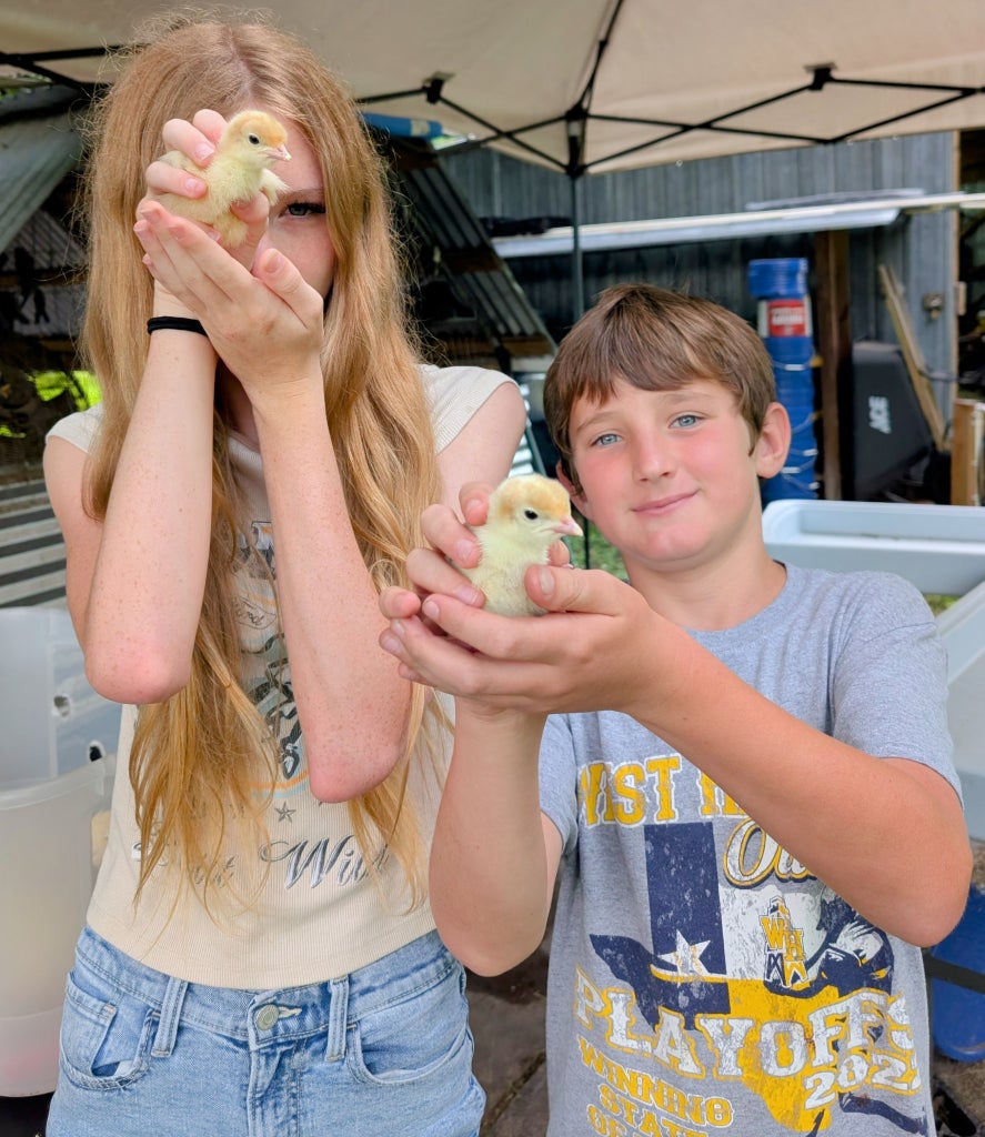 Emelyn and Macallan Rose show their Supervised Agricultural Experience turkey projects.