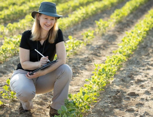 Science Turns Ronda Hamm’s Fear Into Fascination