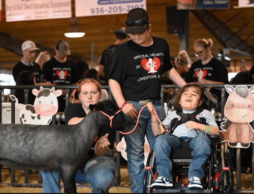 Special Hearts Show: One Ring for All