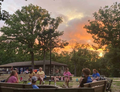 Missouri FFA From 2025 Members’ Perspectives