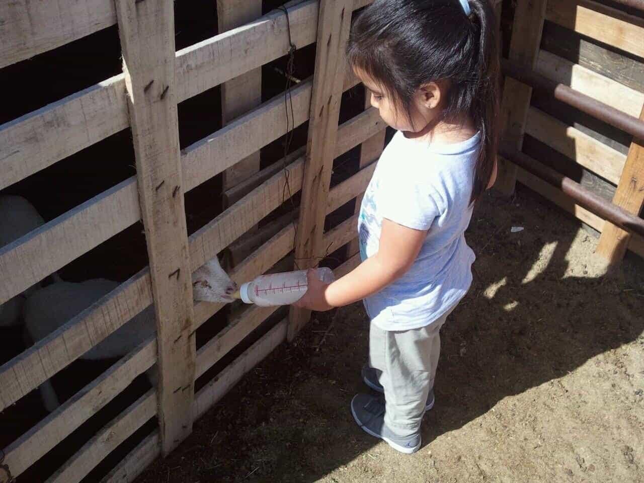 Sakari Frazie growing up on a farm.