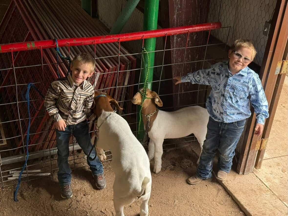 Brothers Kagen and James growing up showing animals. 