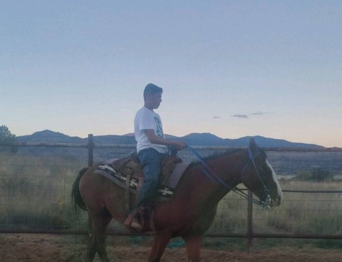 Roots Deeper Than the Crops: Growing Up in Agriculture