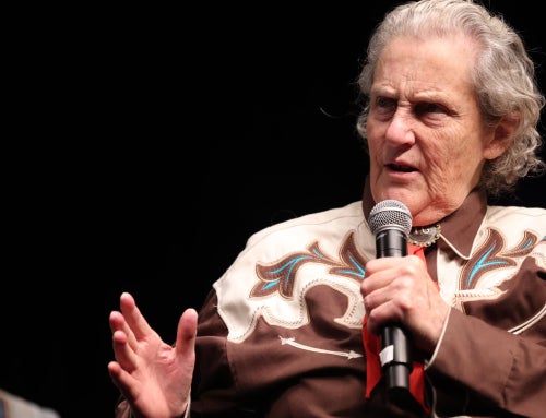 The World Needs All Kinds of Minds: Wise Words From Temple Grandin