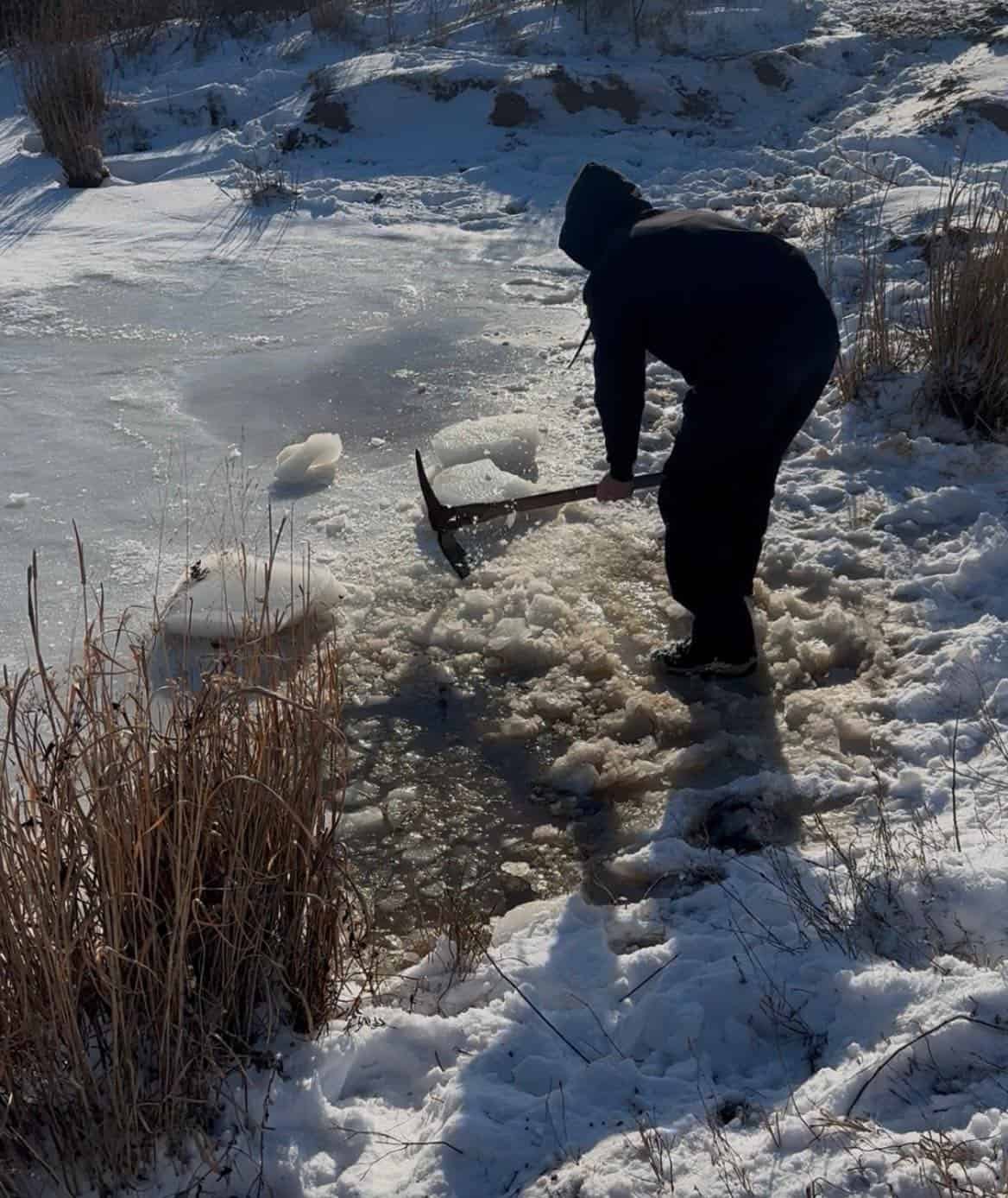 Michael Pritchard breaks ice to ensure his livestock have fresh water.