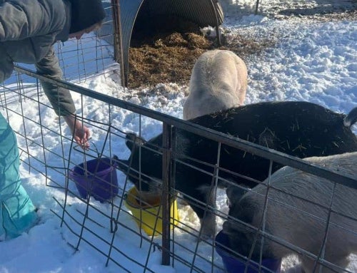 Agriculture Doesn’t Stop