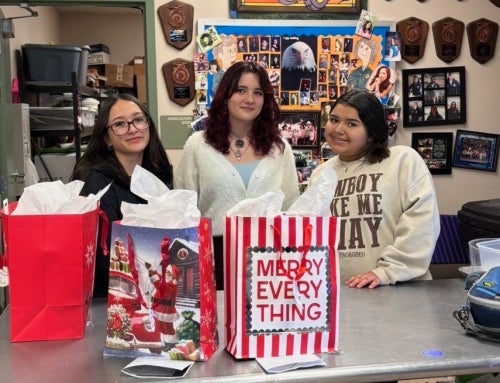 12 Days of Positive Impact