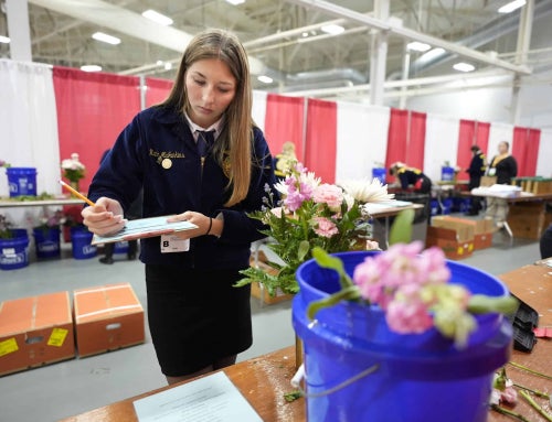 FFA Competition Season: Embracing the Chaos