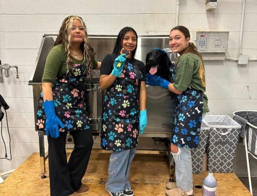 Monterey FFA Launches Student-Run Dog Grooming Business