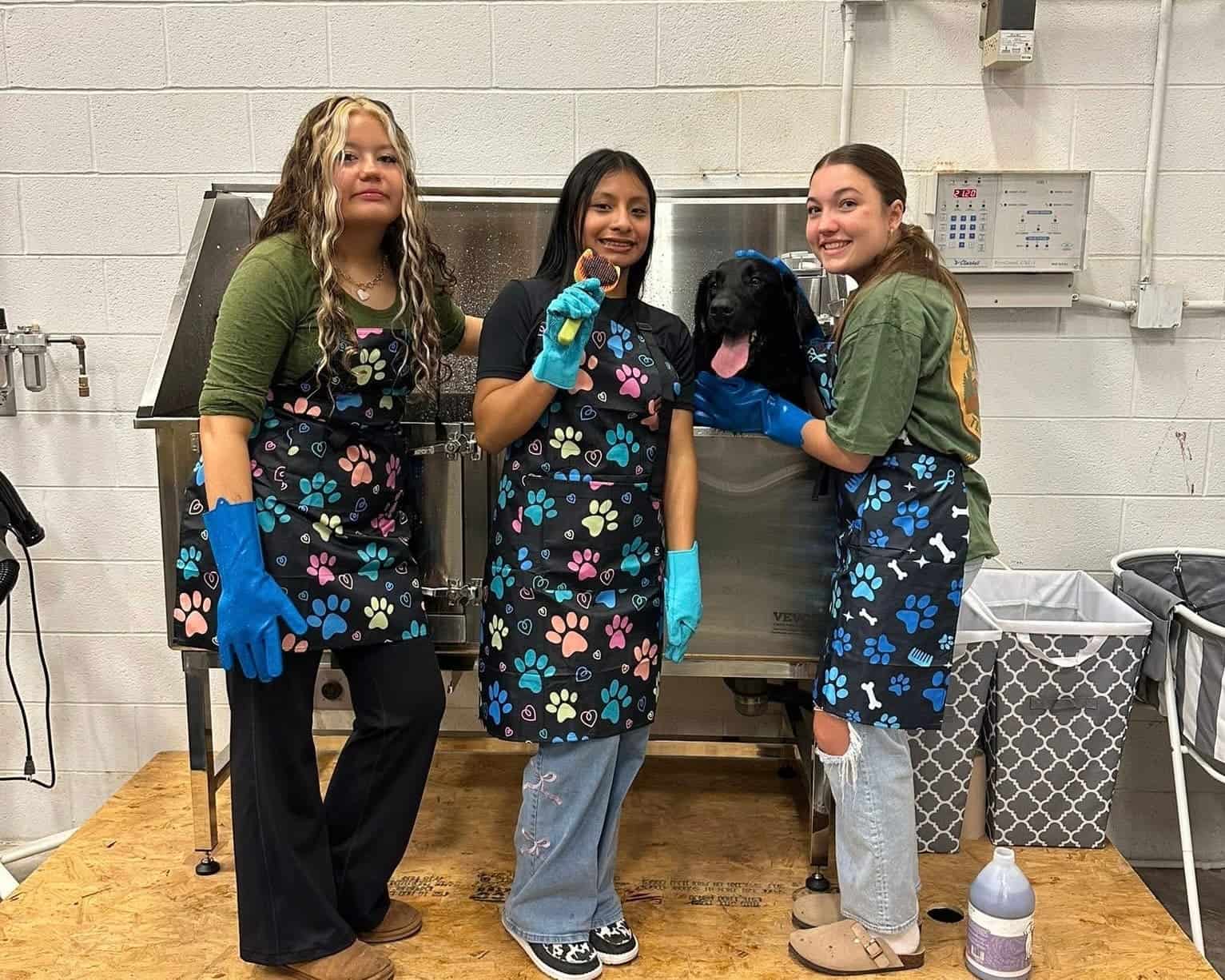 Monterey FFA small animal science students welcome their first client.