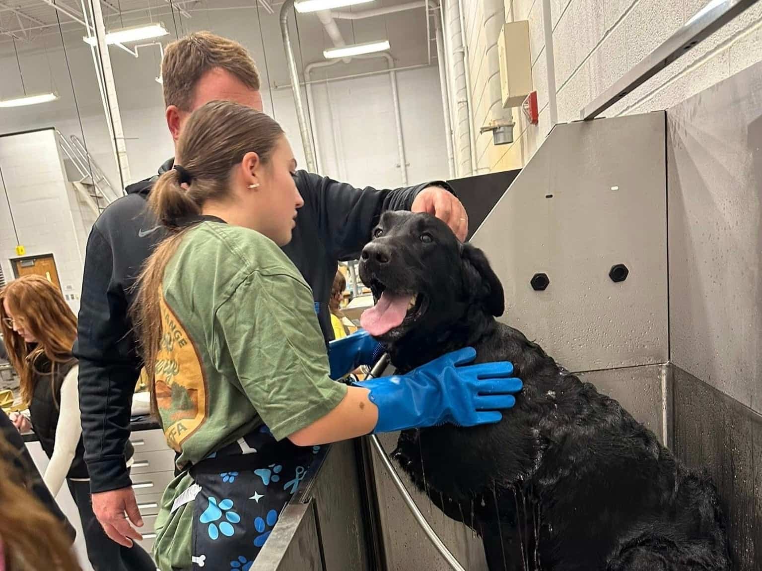 The newly installed bathing sink provides space for all size dogs, both small and large.