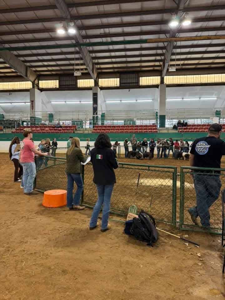 NECP Junior Division member Yaritzel Perez competes in a livestock evaluation event.