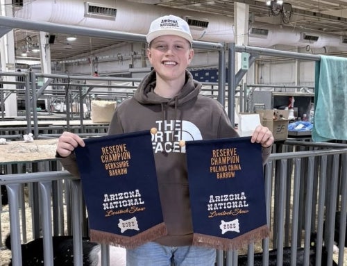 Double the Success: Brock Hammock Claims Two Reserve Breed Championships in Arizona