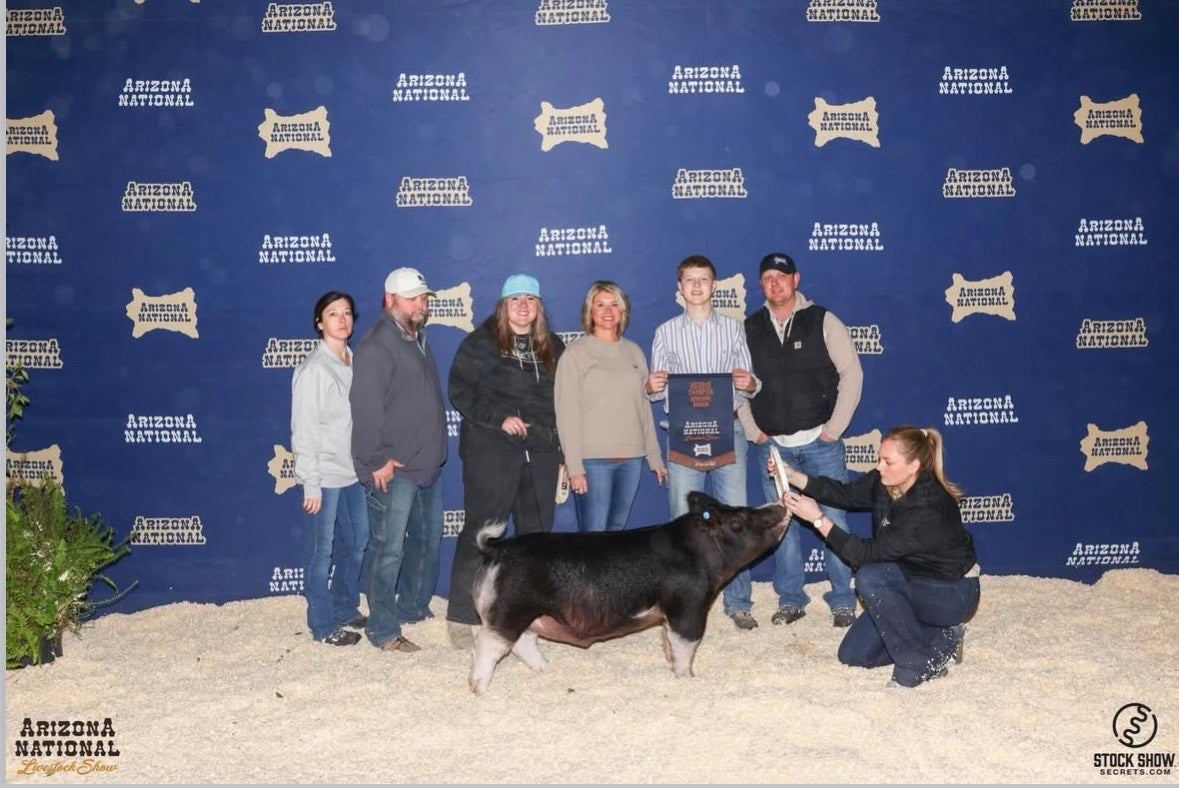 Hammock’s backdrop picture with Richard, his Berkshire barrow.