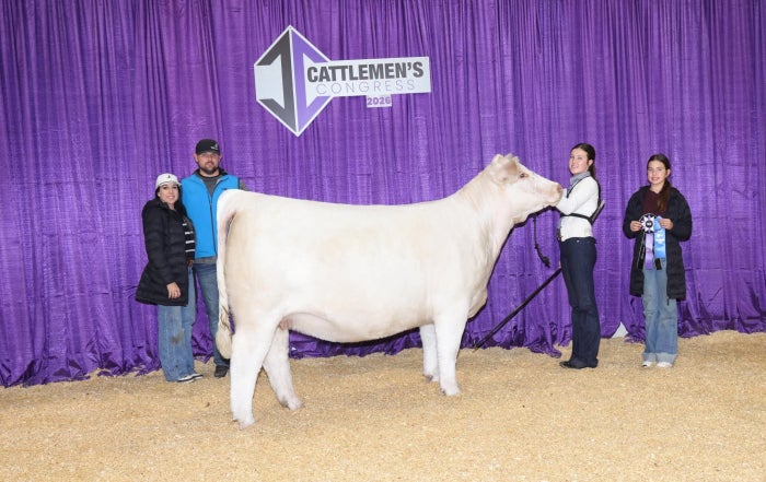 Young students and judge showcasing a prize-winning cattle at FFA National Convention.