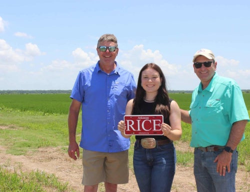 Growing Futures: The Impact of Arkansas Rice on Youth and Economy