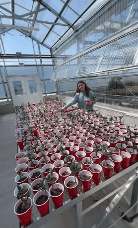 Mose checks up on her flowers