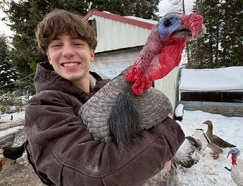 From Flock to Future: Ethan Cowell’s Journey in FFA and Poultry Production